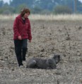 /album/ipo-1-6-10-2012/img-5578-jpg/